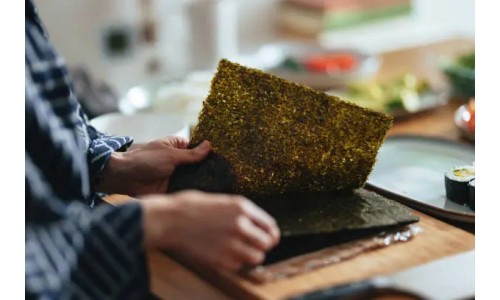 Водорості норі: користь та застосування